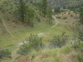 Looking back at a fork, took the left (north) fork heading uphill, Oliver Mtn East Trail 2012-06.